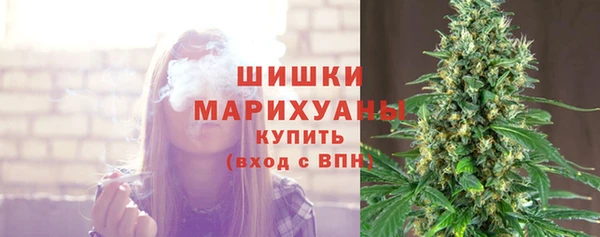 тгк Нея