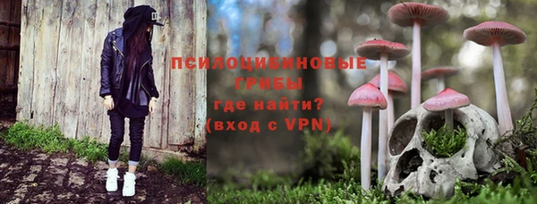 трава Надым