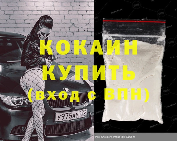 тгк Нея