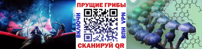 цена наркотик  Межгорье  Галлюциногенные грибы Cubensis 